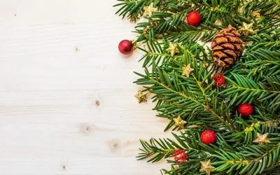 Navidad y otras fiestas con tranquilidad